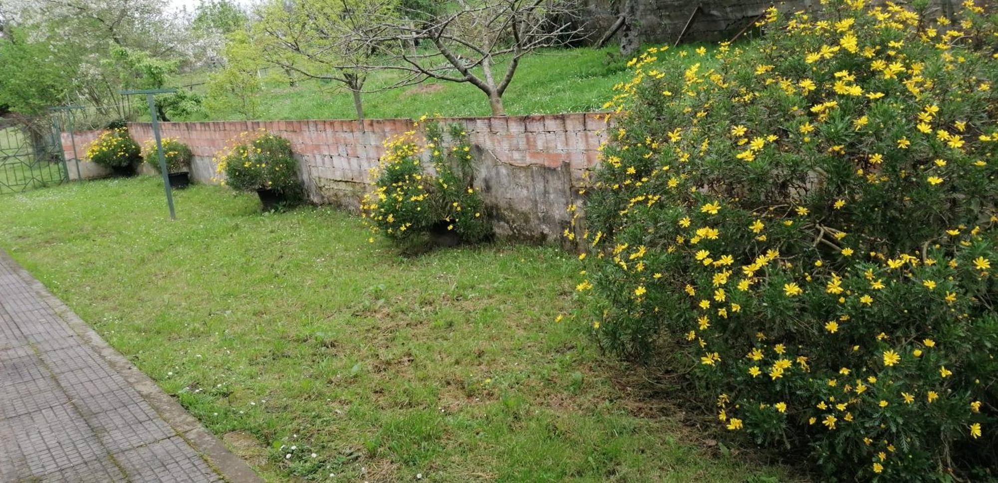 Fondu La Llosa - Casita Cerca De Gijon - Vv-662-As Villaviciosa  Exterior foto